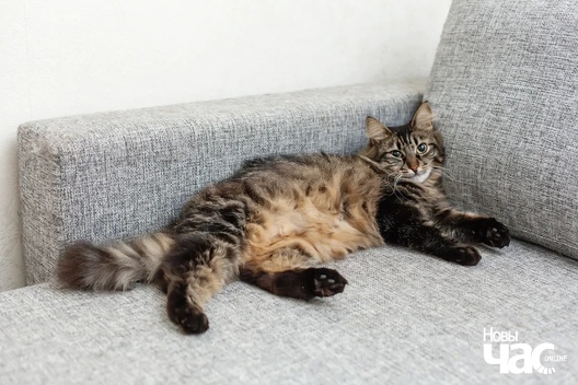 3_232_logo.jpg 3_232_logo.jpg