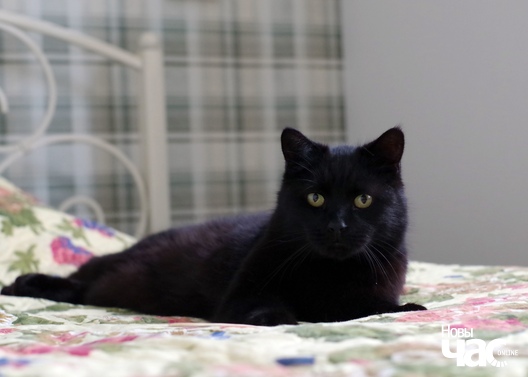 3_245_logo.jpg 3_245_logo.jpg