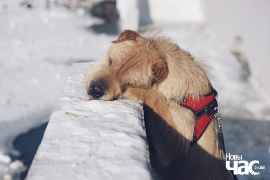 3_341_logo.jpg 3_341_logo.jpg