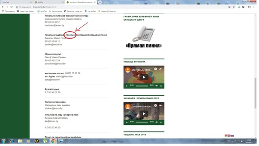 1/3 4._ljasnemsja.jpg