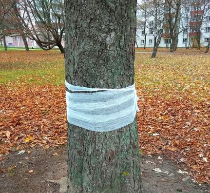 400096700761_165911.jpg 400096700761_165911.jpg