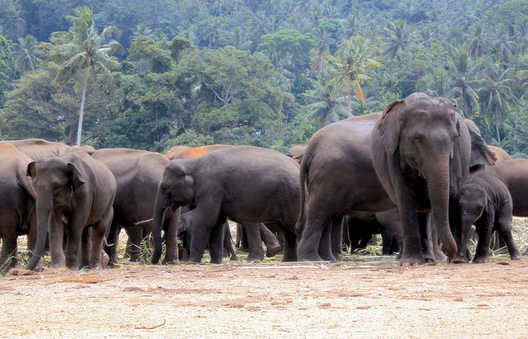 4658898.jpg 4658898.jpg