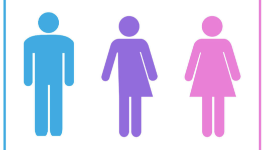 47434555_1098278827007494_4670127694258634752_n_784x445.png.pagespeed.ce.ehjyn8axrq.png 47434555_1098278827007494_4670127694258634752_n_784x445.png.pagespeed.ce.ehjyn8axrq.png