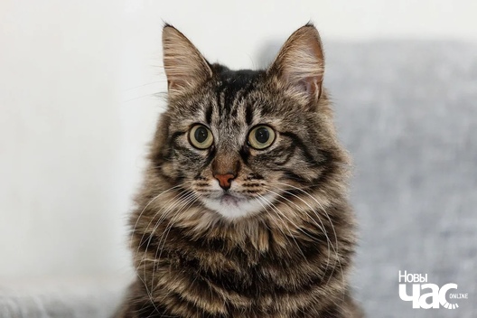 4_224_logo.jpg 4_224_logo.jpg