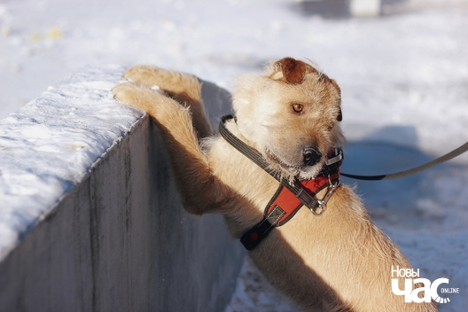 4_325_logo.jpg 4_325_logo.jpg