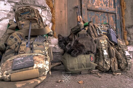 531320542_1117285893917821_6423258285019278283_n.jpg 531320542_1117285893917821_6423258285019278283_n.jpg