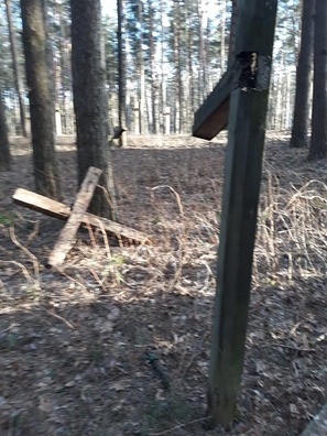 1/6 53513204_2215922032057208_395917210696024064_n.jpg