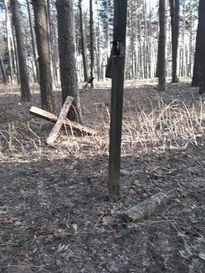 2/6 54374647_2215921985390546_8375068862923669504_n.jpg