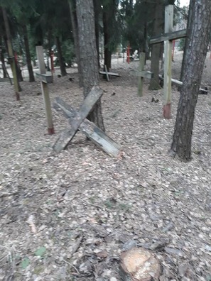 5/6 54433197_2215921888723889_736699818839113728_n.jpg