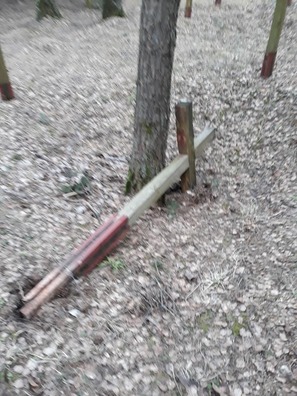 3/6 54798527_2215921948723883_460663958647341056_n.jpg