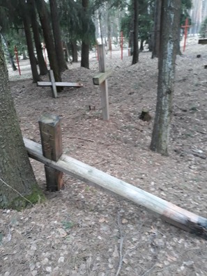 6/6 55523465_2215921858723892_1483551235263954944_n.jpg