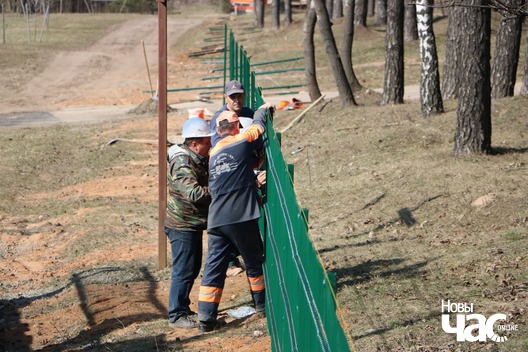 1/4 56610434_339678703327211_2657262310023757824_n_logo.jpg