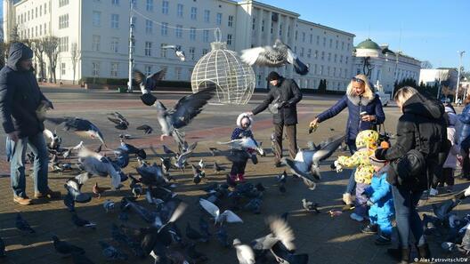 Кармленне галубоў — адна з форм пратэсту ў Беларусі Кармленне галубоў — адна з форм пратэсту ў Беларусі