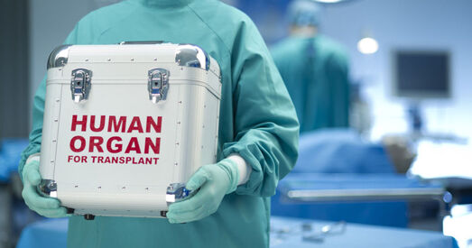 Маці супраць трансплантолагаў: Органы важней за жыццё?