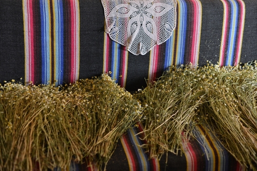 в. Рудалі, фота Кацярыны Аракчэевай в. Рудалі, фота Кацярыны Аракчэевай