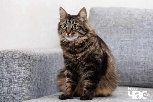 5_210_logo.jpg 5_210_logo.jpg