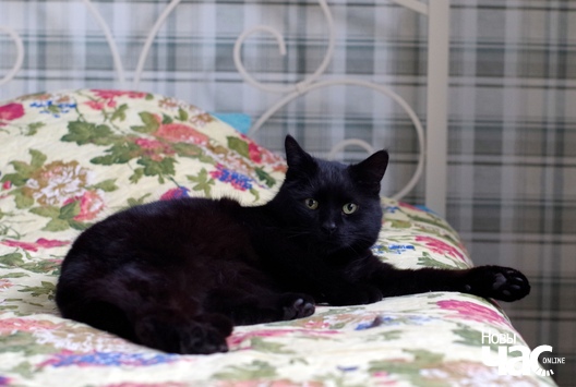 5_219_logo.jpg 5_219_logo.jpg