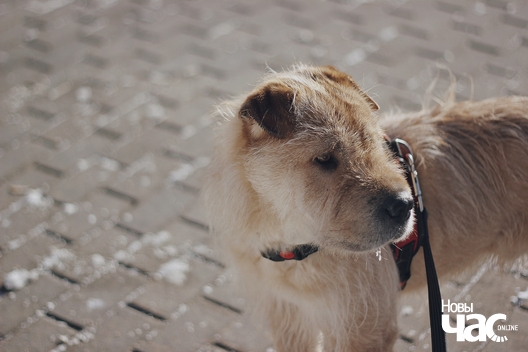 5_303_logo.jpg 5_303_logo.jpg