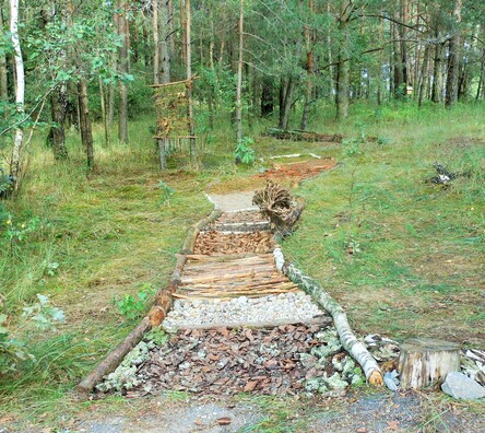 Сэнсарная сцежка, зробленая ўдзельнікамі летніка. Фота Марыны Яўсейчык Сэнсарная сцежка, зробленая ўдзельнікамі летніка. Фота Марыны Яўсейчык 