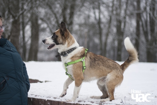 5mad62_vz60_logo.jpg 5mad62_vz60_logo.jpg