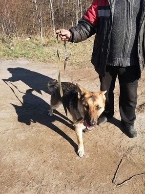 5spdbbp9w5i_logo.jpg 5spdbbp9w5i_logo.jpg