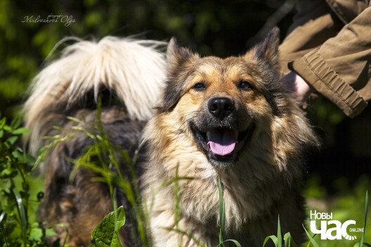 4/6 62055450_362161127774173_5092424027151007744_o_logo.jpg