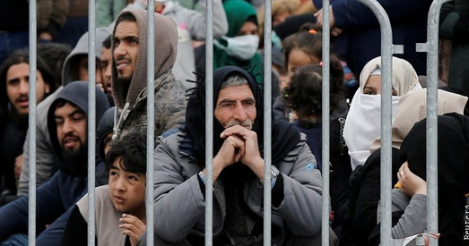 У мігрантаў ля польскай мяжы шанцы атрымаць прытулак у ЕС роўныя нулю. Частка вырашыла вяртацца