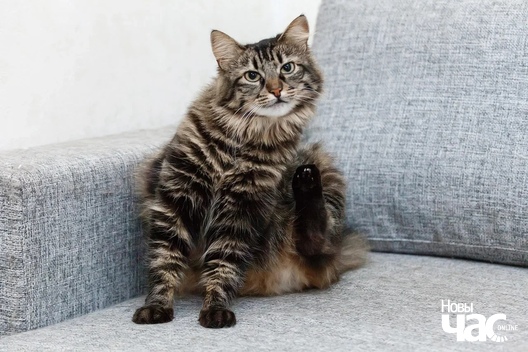 6_139_logo.jpg 6_139_logo.jpg