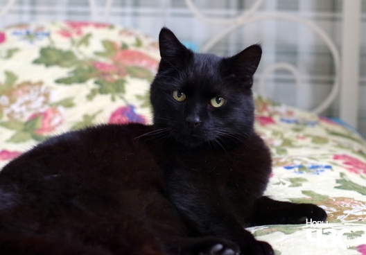 6_144_logo.jpg 6_144_logo.jpg