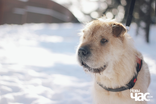 6_201_logo.jpg 6_201_logo.jpg