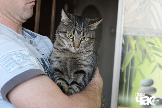 6e6tp7koenw_logo.jpg 6e6tp7koenw_logo.jpg