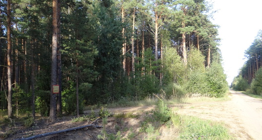 7.palihon_bre_logo.jpg 7.palihon_bre_logo.jpg