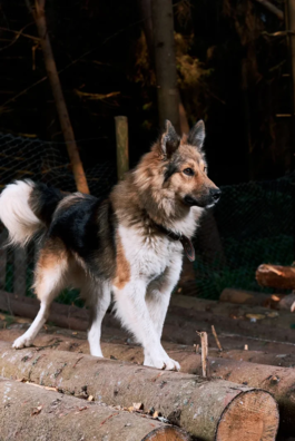 2/6 71491557_372887913591727_836641835211292672_nwwwww_logo.png