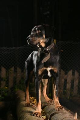 72591556_539151449984806_695628798934122496_o.jpg 72591556_539151449984806_695628798934122496_o.jpg