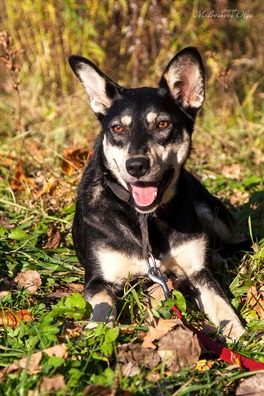 74347648_442159583107660_8407857738477993984_o.jpg 74347648_442159583107660_8407857738477993984_o.jpg