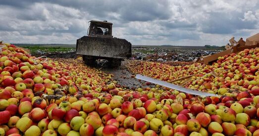 У Расіі знішчылі 77 тон яблыкаў і груш з Беларусі