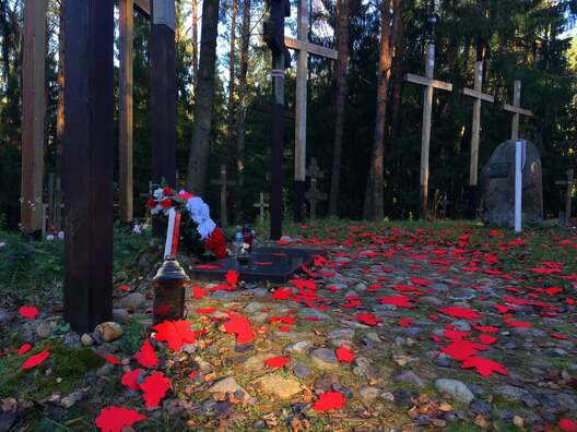 Фота Аліны Саўчанка Фота Аліны Саўчанка