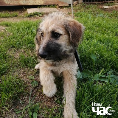 75557431_811570695914253_5197250097562097554_n_logo.jpg 75557431_811570695914253_5197250097562097554_n_logo.jpg