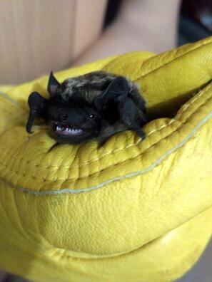 77310519_2645699788850815_2768117189755011072_o.jpg 77310519_2645699788850815_2768117189755011072_o.jpg