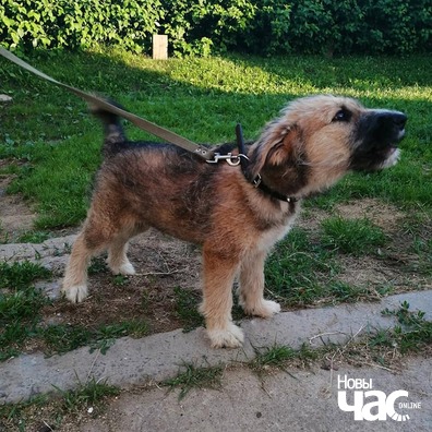 78312052_811570665914256_2635048365361730019_n_logo.jpg 78312052_811570665914256_2635048365361730019_n_logo.jpg