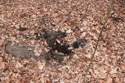 2/3 79312292_2837437436266899_4587779719356743680_o.jpg