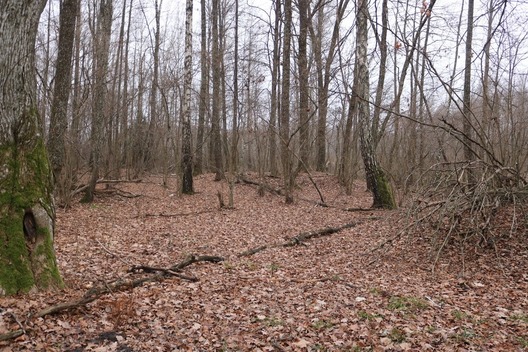 3/3 80248266_2837437772933532_3295094459905081344_o.jpg