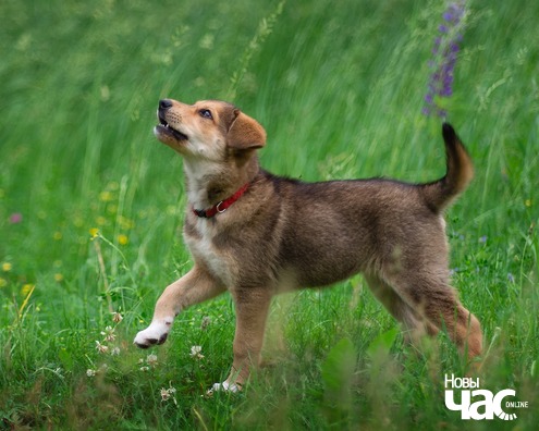 83146340_2164064523739454_6338829252213844295_o_logo.jpg 83146340_2164064523739454_6338829252213844295_o_logo.jpg