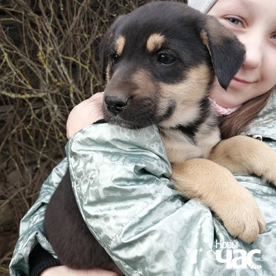 7/7 88177422_738727919865198_418536256528449536_n_logo.jpg