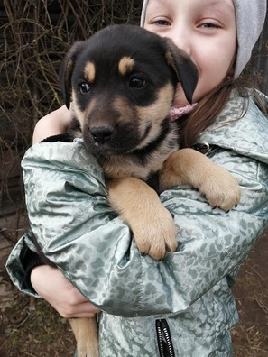 1/7 89472556_738728109865179_44376744563572736_n_logo.jpg