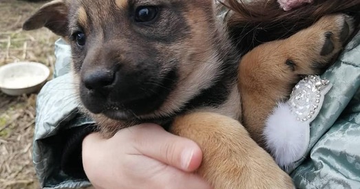 Траім асірацелым дзеткам вельмі патрэбная мама і дом