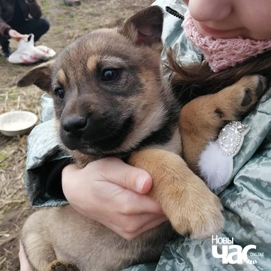 3/7 89528425_738727956531861_8212862911819808768_n_logo.jpg