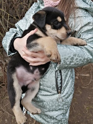 4/7 89722096_738728176531839_4845643658818486272_n_logo.jpg