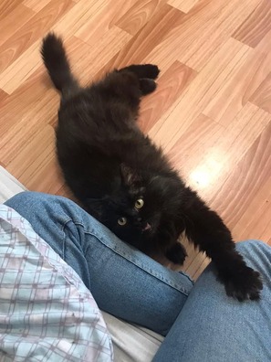 89869887_1119894431696633_2931613576667856896_n_logo.jpg 89869887_1119894431696633_2931613576667856896_n_logo.jpg