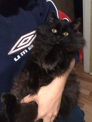 3/4 89966021_1119894388363304_1067662323562315776_n_logo.jpg